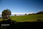 Tasmania