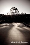 Tasmania