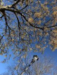 IMG_3528