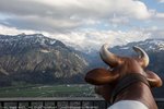 best views of Interlaken as well as the Eiger, Mönch and Jungfrau