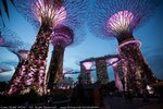 Garden by the bay @ Singapore
