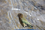 Milford Sound 