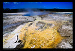 Yellowstone Park