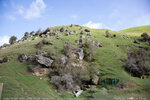 Clifden Lime