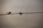 Seoul Int'I Aerospace & Defense Exhibition 2011