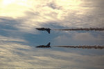 Seoul Int'I Aerospace & Defense Exhibition 2011