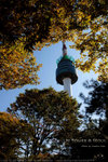 N Seoul Tower