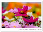 flowershow23