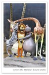 universal studio14