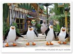 universal studio3