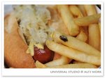 universal studio8