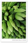 veg2