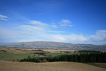 NZ