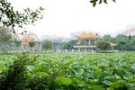 Flower_01_002