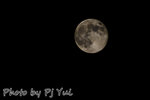 PJT_5394