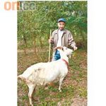 Sheep Garden - photo2(丘生) on web site