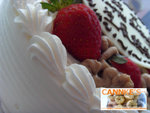 CANNKE_NEW_010A