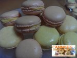 MACARON