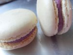 雲呢拿macaron夾香芋吉士