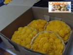 pumpkin tart