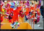 DSC_0289-6