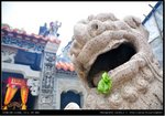 DSC_0299-8