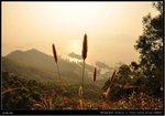 DSC_3196-2