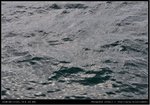 DSC_0037-13