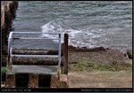 DSC_0038-14