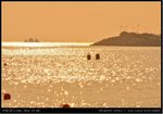 DSC_2660-6