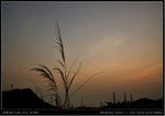 DSC_2819-12