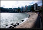 DSC_2778-5