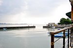 DSC_3950-6