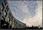 DSC_8157-24