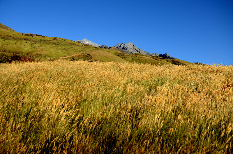 Mount Judah track to Bonnie Jean Hut New Zealand South Island hiking tales of mining