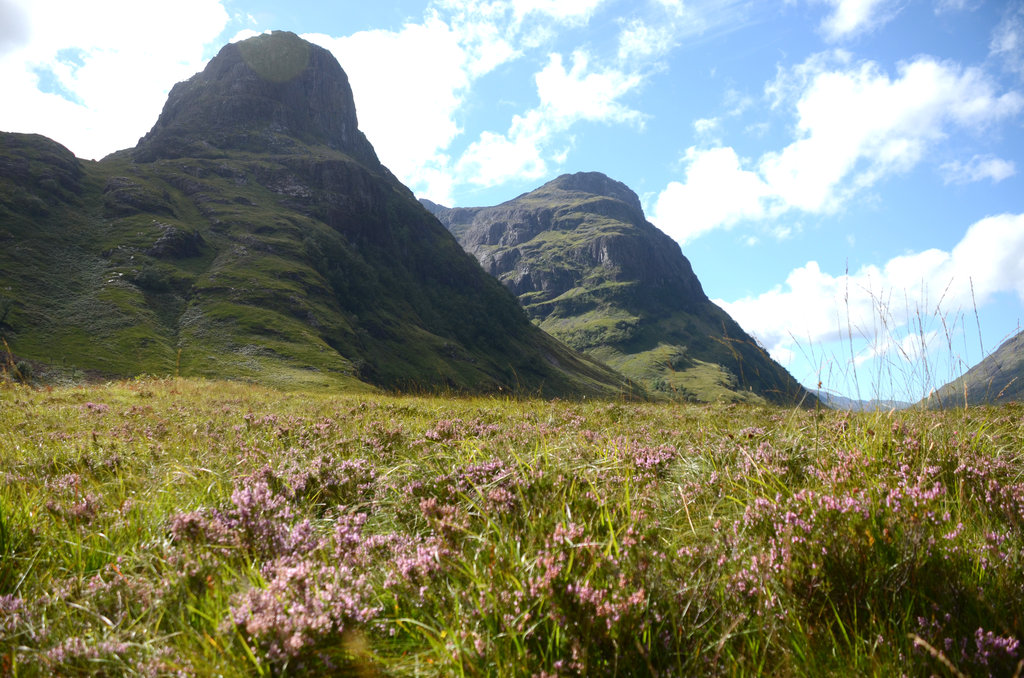 Glencoe Scottish purples Scotland highlands