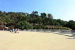 IMG_4781
