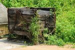 IMG_1203