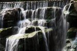 IMG_1354