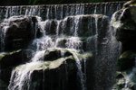 IMG_1355