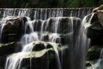 IMG_1359