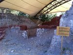 IMG_0202