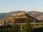 IMG_0239