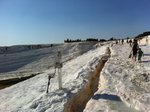 IMG_0302