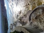 IMG_0311