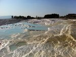IMG_0313
