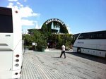 IMG_0342