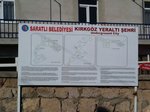 IMG_0351