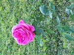 IMG_0360