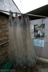 IMG_1358